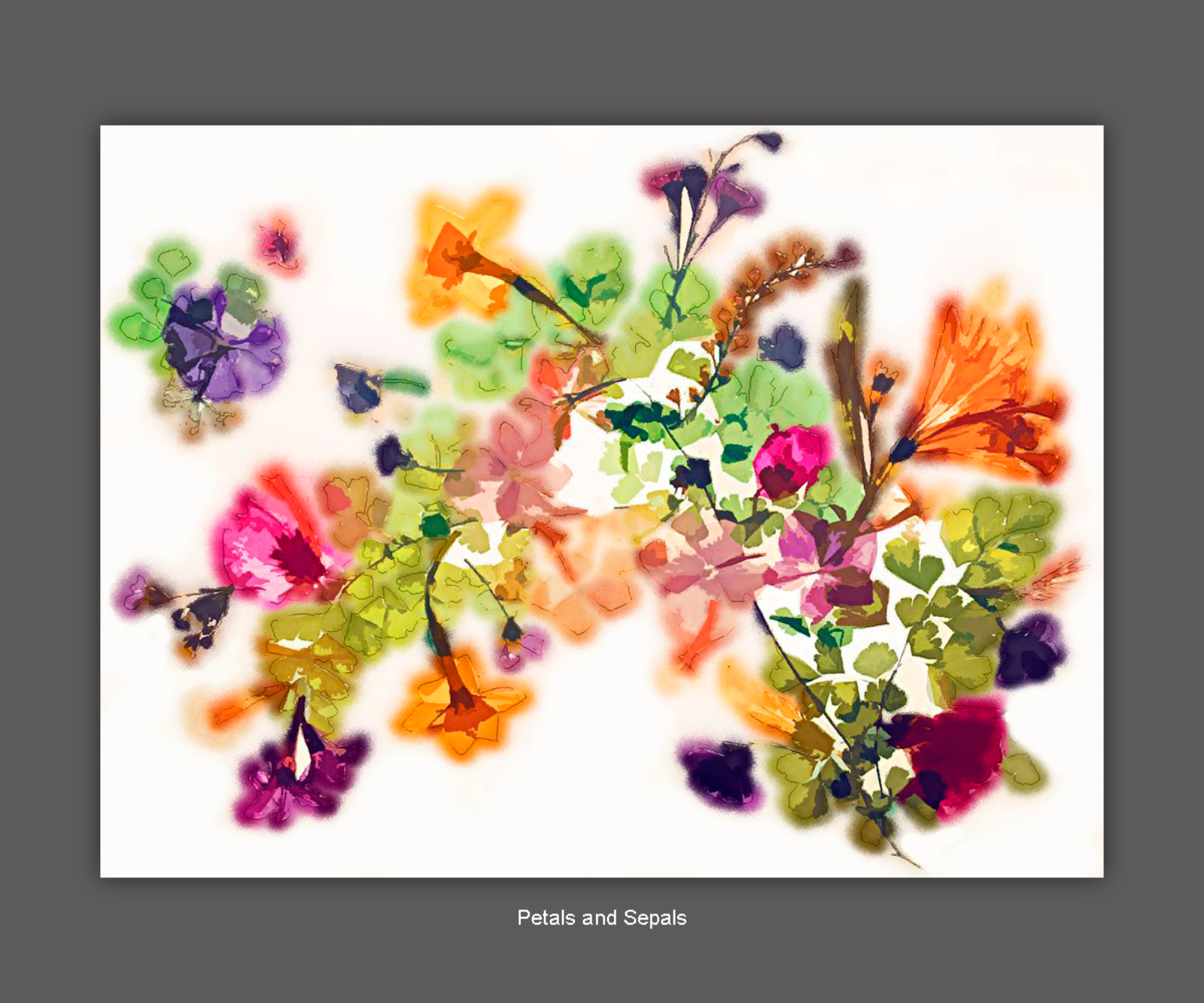 Pam Brodersen - 7 Petals and Sepals